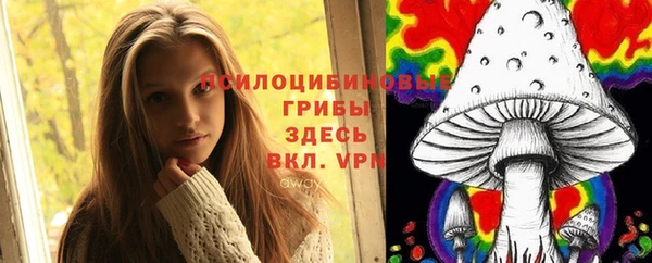 Альфа ПВП Приозерск